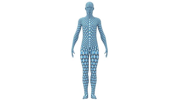 Anatomia do Corpo Exterior Humano. 3D - Foto, Imagem