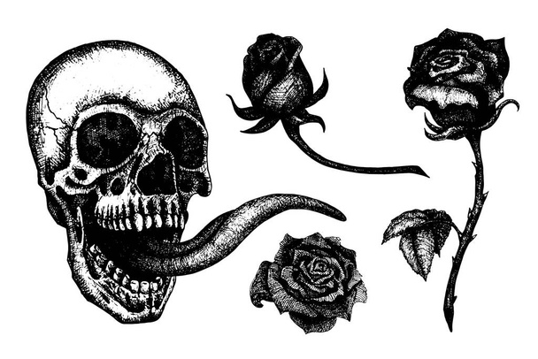 開いた口と長い舌を持つ頭蓋骨。ベクトルハンドは人間の頭蓋骨とバラの花を描いた。入れ墨、恐怖のためのスタイル - ベクター画像