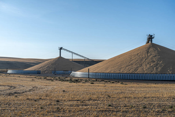 Açık Tahıl Depolama Tesisleri Solgun Ev 'de Hasat Sezonunun Sonu, WA - Fotoğraf, Görsel