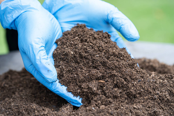 Торфяные органические вещества улучшают почву для выращивания органических растений в сельском хозяйстве, концепция экологии. - Фото, изображение
