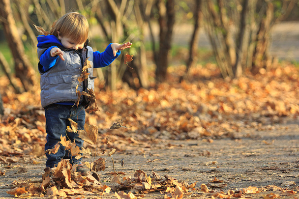 chłopiec bawiący się liśćmi w parku - Zdjęcie, obraz