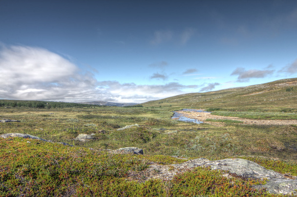 Tundra Landscape - Zdjęcie, obraz