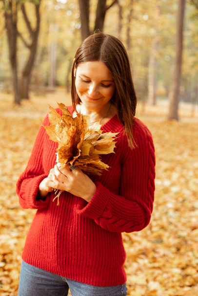 Portrait of cute beautiful woman in cozy red knitted sweater holding bouquet of yellow leaves isolated on golden forest background. Happy young lady walk in autumn park on sunny day. Fall nature. - Фото, изображение