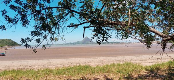 Piuma beach tropical tree with the beach and mount agha in the background, Espirito Santo, Brazil. - Photo, Image