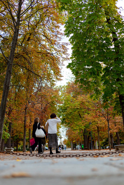 Vallen. Herfst pad in het Parque del Retiro in de stad Madrid met de bladeren van de bomen in de herfst kleuren op de takken en op de grond. In Spanje. Fotografie. Herfsttijd. - Foto, afbeelding