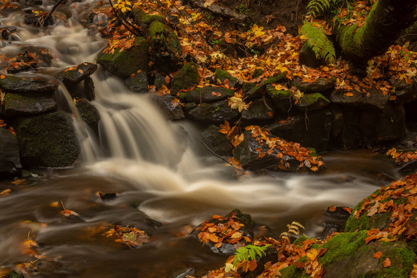 Русіновський струмок з водоспадами в Лузікських горах за кольором осіннього дощового дня - Фото, зображення