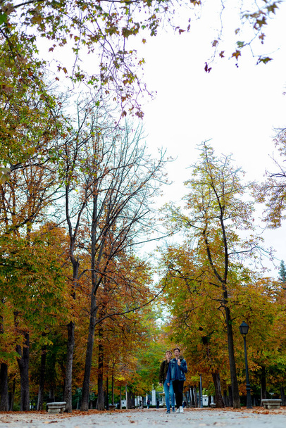 Queda. Caminho de outono no Parque del Retiro na cidade de Madrid com as folhas das árvores em cores de outono nos ramos e no chão. Em Espanha. Fotografia. Hora do Outono. - Foto, Imagem