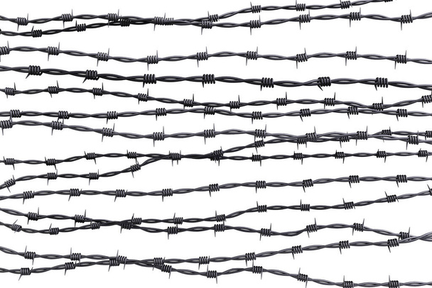 Barbwire with the background in security concept - Photo, Image