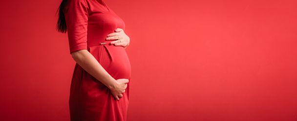Tummy of pregnant woman - Photo, Image