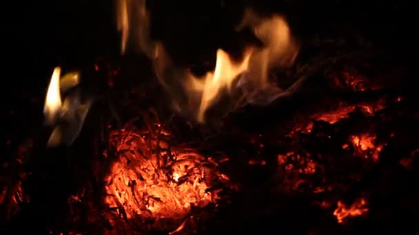 plamen - Záběry, video