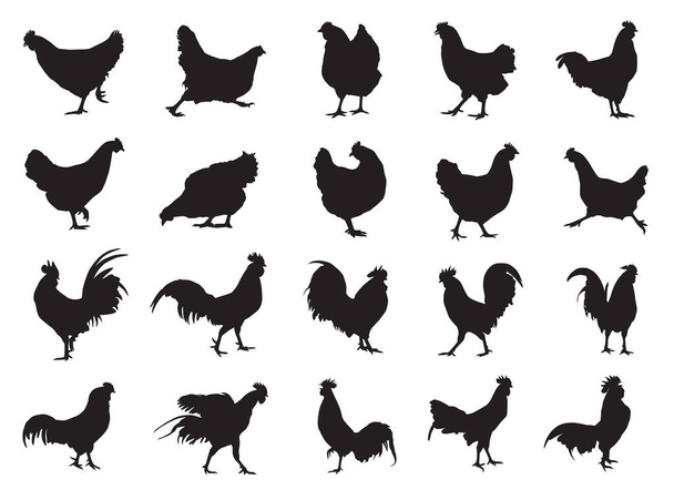 Frango conjunto galinha e galo silhueta - Vetor, Imagem