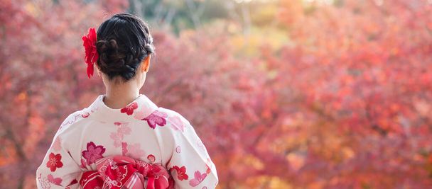 młoda kobieta turystka nosząca kimono ciesząca się kolorowymi liśćmi w świątyni Kiyomizu dera, Kioto, Japonia. Azjatycka dziewczyna z fryzurą w tradycyjnym japońskim ubraniu jesienią sezonu liści - Zdjęcie, obraz