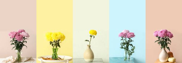 Группа красивых цветков хризантемы в вазах на цветном фоне - Фото, изображение