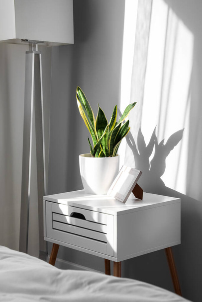 光の寝室の写真フレームと観葉植物とベッドサイドテーブル - 写真・画像