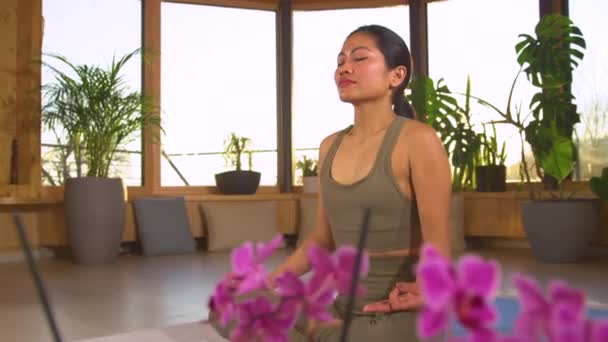 SLOW MOTION, CLOSE UP: Mediterende jonge Aziatische vrouw in ontspannen huiselijke sfeer. Het uitvoeren van mudras om de stroom van prana te stimuleren. Vrouwelijke persoon intensiveert levensenergie terwijl meditatie in lotus poseren. - Video