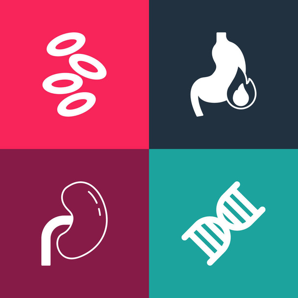 Set pop art símbolo de ADN, riñón humano, acidez estomacal e icono de hemoglobina. Vector. - Vector, Imagen