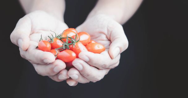Legumes de tomate são a base de uma dieta saudável - Foto, Imagem