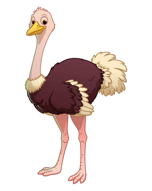 Ilustração animal dos desenhos animados da avestruz - Vetor, Imagem