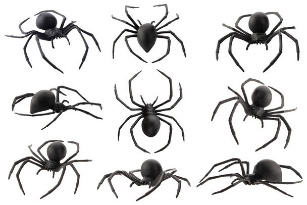 Фальшивая резиновая игрушка паука на белом фоне - Фото, изображение