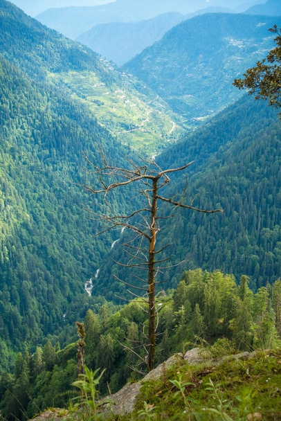 Экзотический вид с вершины холма с густым дезодоранским лесом. Шхаханд Махадев Кайлаш Ятра в Индии. - Фото, изображение
