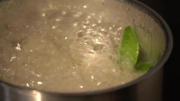 Cooking Thai Chicken Soup in Coconut Milk. Put Ingredient and sauce in boiling pot. - Footage, Video
