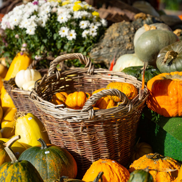 Boost Fall Sales with Pumpkin Merchandising - Foto, Bild
