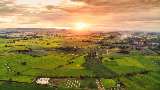 Vista aérea do pôr do sol sobre o campo de arrozais verdejantes, cultivo agrícola em terras agrícolas no campo - Foto, Imagem