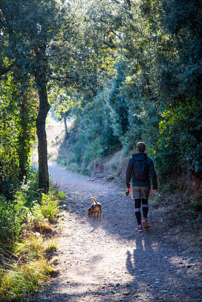 Blonde caucasian man hiking on the mountain with his dog on spring during sunset back shot - Photo, Image