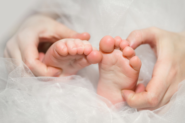 Baby's feet - Fotografie, Obrázek