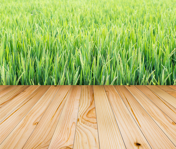 Piso de madeira com campos de arroz verde
 - Foto, Imagem