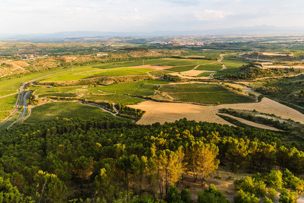 Αεροφωτογραφία των αμπελώνων στην περιοχή La Rioja της Ισπανίας - Φωτογραφία, εικόνα
