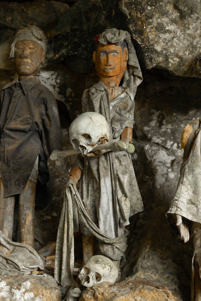 Несколько деревянных фигур, изображающих мёртвых, один из которых держит череп мёртвого человека, на месте захоронения Тана Тораджа, в Тампанг-Алло, Сулавеси, Индонезия - Фото, изображение