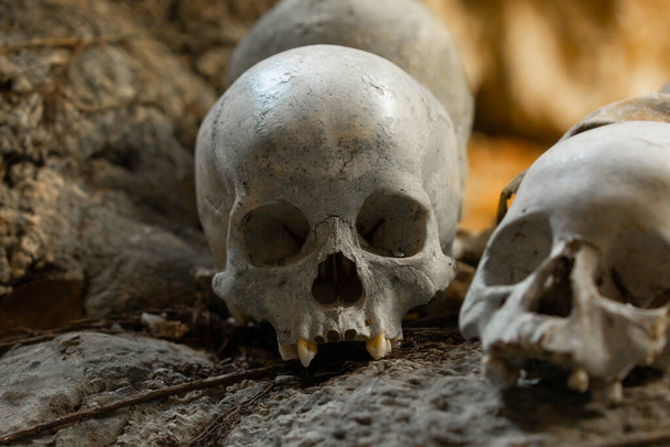 Skull of a dead person at the burial site and tomb, inside a cave, Tana Toraja, Tampang Allo, Sulawesi, Indonesia - Photo, Image