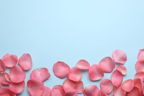Beautiful pink rose flower petals on light blue background, flat lay. Space for text - Fotoğraf, Görsel