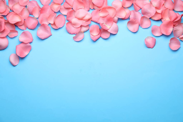 Beautiful pink rose flower petals on light blue background, flat lay. Space for text - Фото, изображение