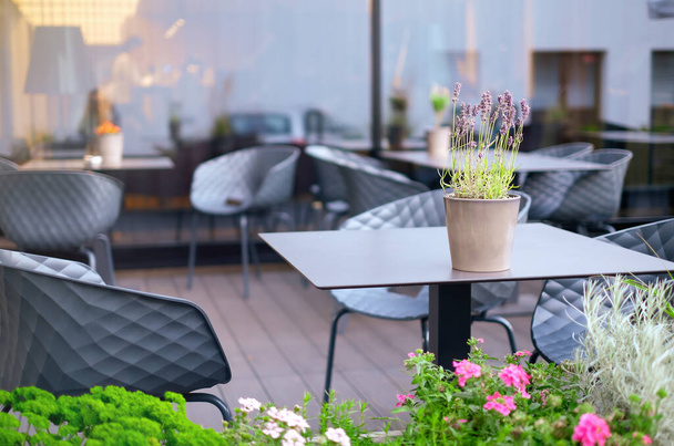 Summer terrace of the restaurant on a clear day. Table near the restaurant close-up.. - 写真・画像
