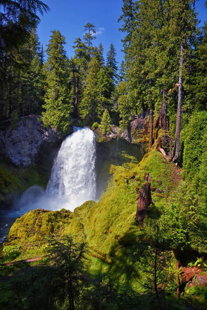 Sahalie Koosah Tamolitch padá na řeku McKenzie, Williamette National Forest, Cascade Mountains, Oregon. USA. - Fotografie, Obrázek