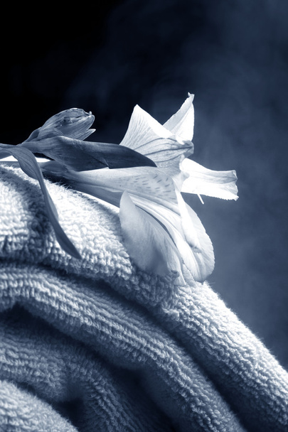 handdoeken met bloem - Foto, afbeelding