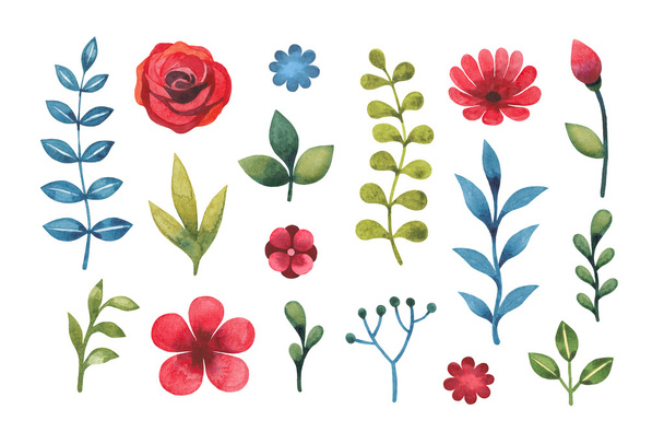 Watercolor floral elements - Zdjęcie, obraz