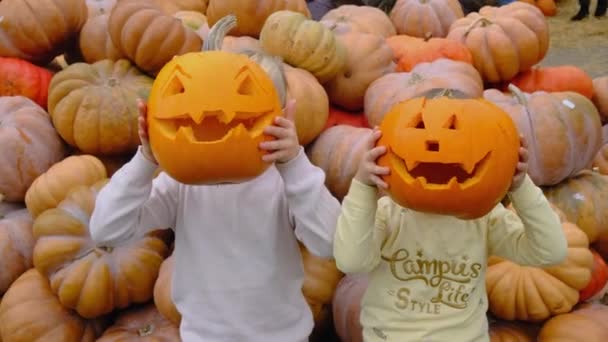 4K Παιδιά κατέχει μια κενή σκοτεινή κολοκύθα στα χέρια την ημέρα του Halloween με φόντο κολοκύθες. παιδιά κόμμα, τέχνασμα ή θεραπεία έννοια. Σύμβολο όλων των Αγιόκλημα παραμονή, Jack-o-φανάρι τρομακτικό κεφάλι - Πλάνα, βίντεο