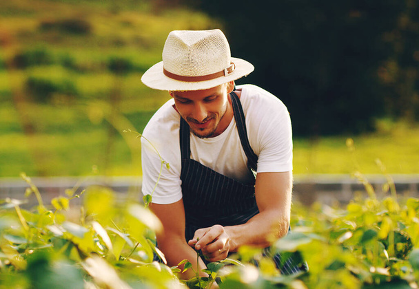 Его навыки садоводства в полном расцвете. красивый молодой человек, работающий в саду - Фото, изображение