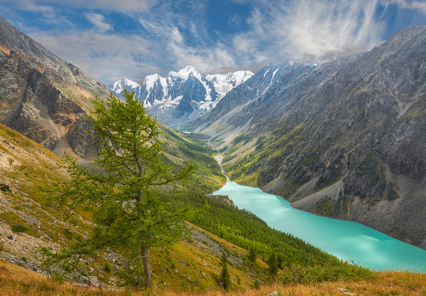 Altai mountains - Фото, изображение