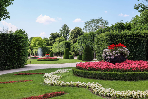 Πράσινοι θάμνοι και λουλούδια στο όμορφο πάρκο - Φωτογραφία, εικόνα