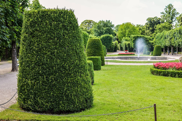 Zielone krzewy cięte i fontanna w pięknym parku - Zdjęcie, obraz