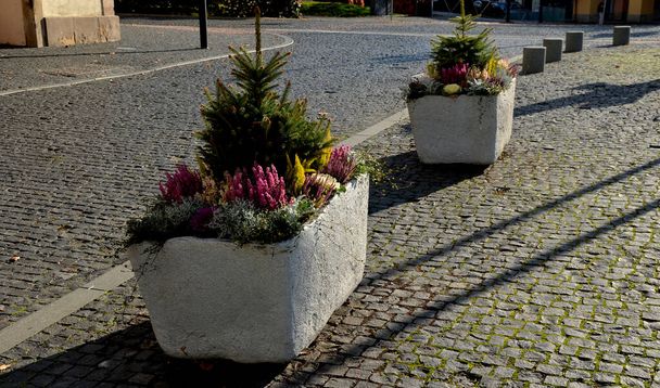 A gray flower pot is a rectangular shape, flowerpot with flowering perennials in a square or on a street in a park. road barrier from steel, concrete, sage, heather, bollard granite cylinder, sunny - Photo, Image