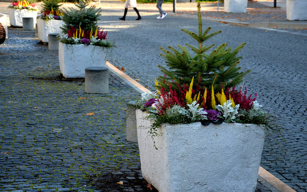 Ein grauer Blumentopf ist ein rechteckiger Blumentopf mit blühenden Stauden auf einem Platz oder auf einer Straße in einem Park. Straßensperrung aus Stahl, Beton, Salbei, Heidekraut, Poller Granitzylinder, sonnig - Foto, Bild