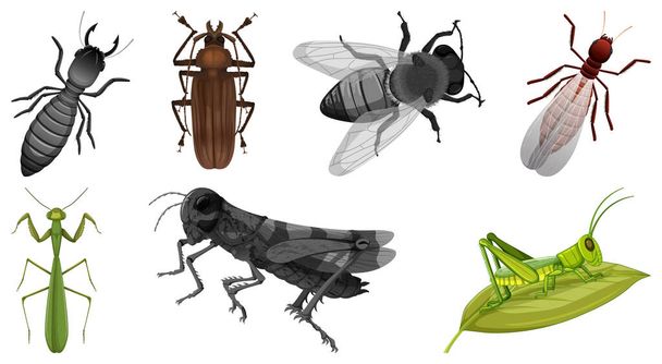 Erilaisia hyönteisten kuvia
 - Vektori, kuva
