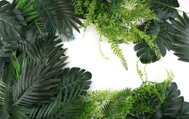 Frame of artificial tropical leaves isolated on white background. Plastic realistic plants with copy space. - Foto, Bild
