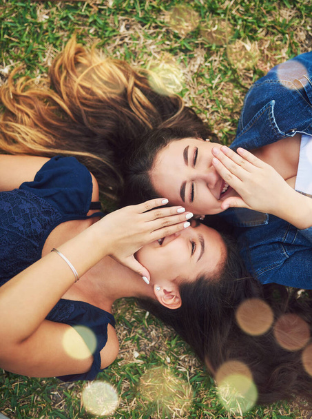 Living life and laughing all the way. High angle shot of two female best friends spending the day in a public park - Fotoğraf, Görsel
