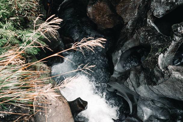 植生や自然の中に隠された場所で高い岩の間の小さな湖の中に大きな力で落下水、ミルフォードサウンド、ニュージーランド-旅行コンセプト - 写真・画像
